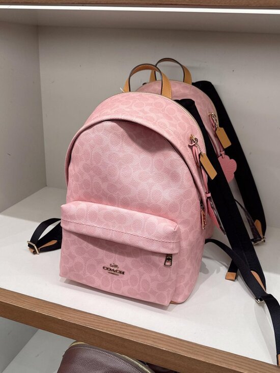 NWT Coach CEF46 Taylor Small Backpack In Signature Canvas With Charms pink main image 7